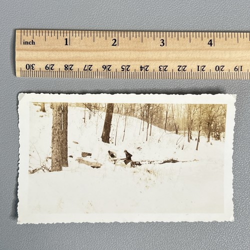 Vtg 1935 logging snapshot - vtg,