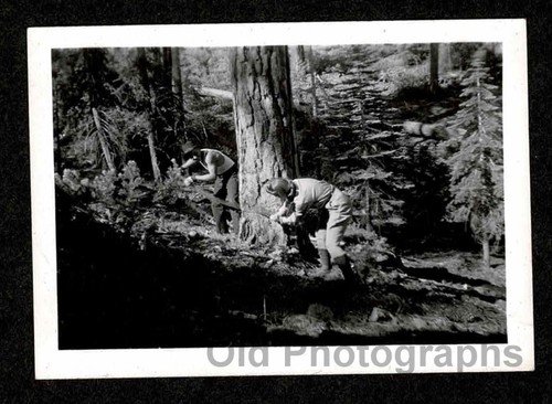 Men lumberjacks man - men/lumberjacks, crosscut